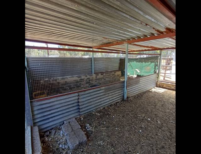 25,696M² SMALLHOLDING FOR SALE IN COOPERVILLE